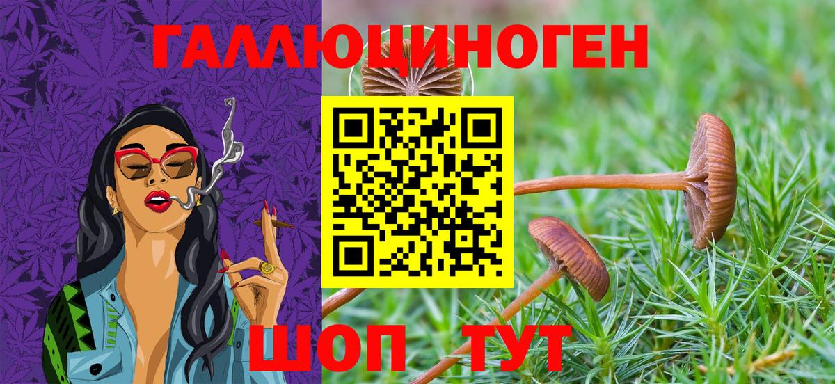 Галлюциногенные грибы GOLDEN TEACHER  Псилоцибиновые грибы Cubensis  Вятские Поляны  Вход с VPN 